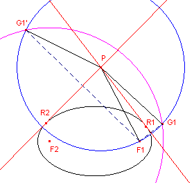orthopt4