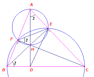 transv7d